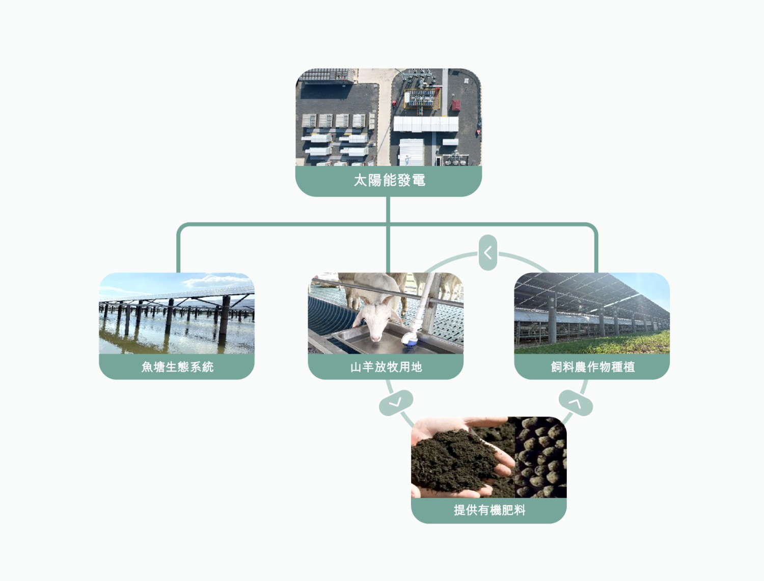 respecting-nature-manage-solar-power-2025-chi