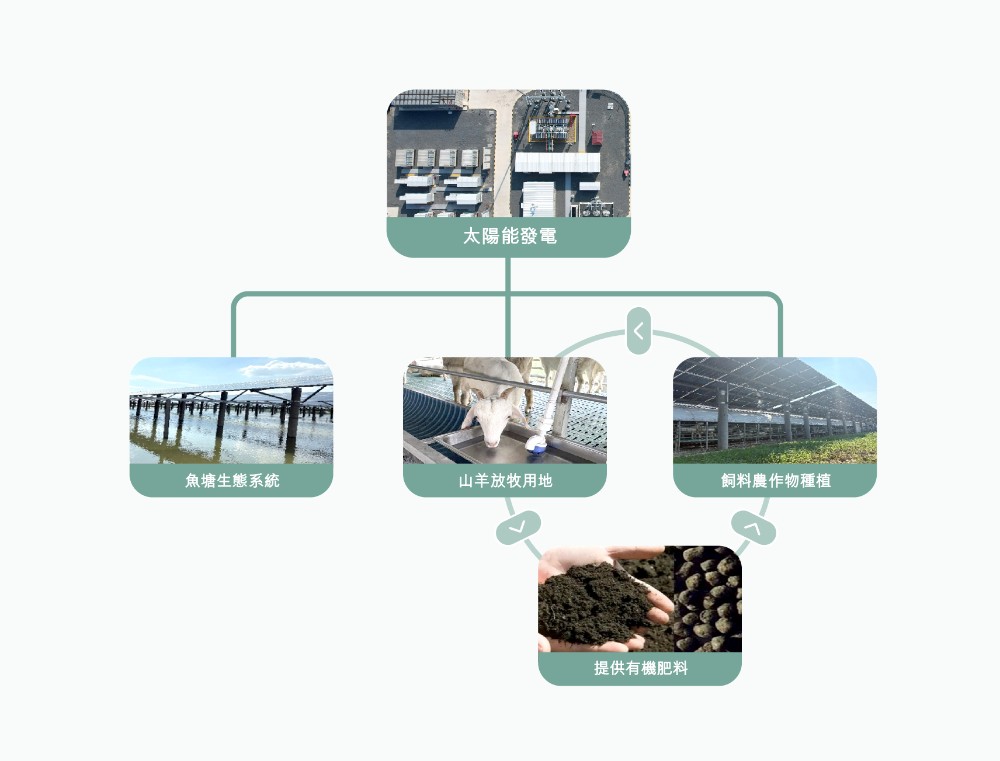 respecting-nature-manage-solar-power-2025-chi