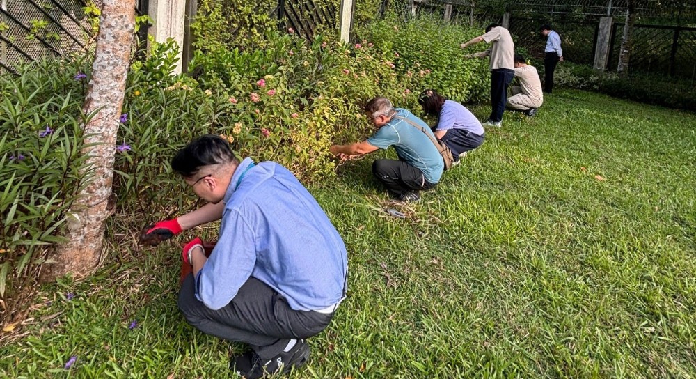 nature-strategy-case-butterfly-2